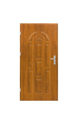 Lauko durys MODEL N1