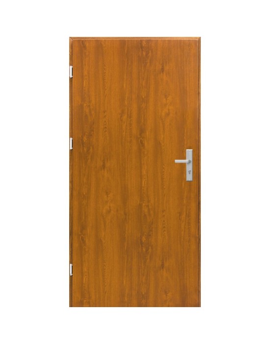 Lauko metalinės durys MODEL P1