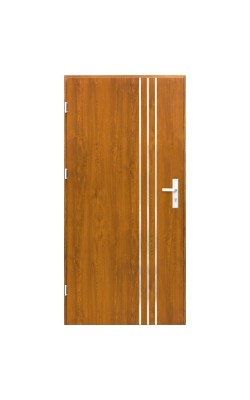 Lauko metalinės durys MODEL P2