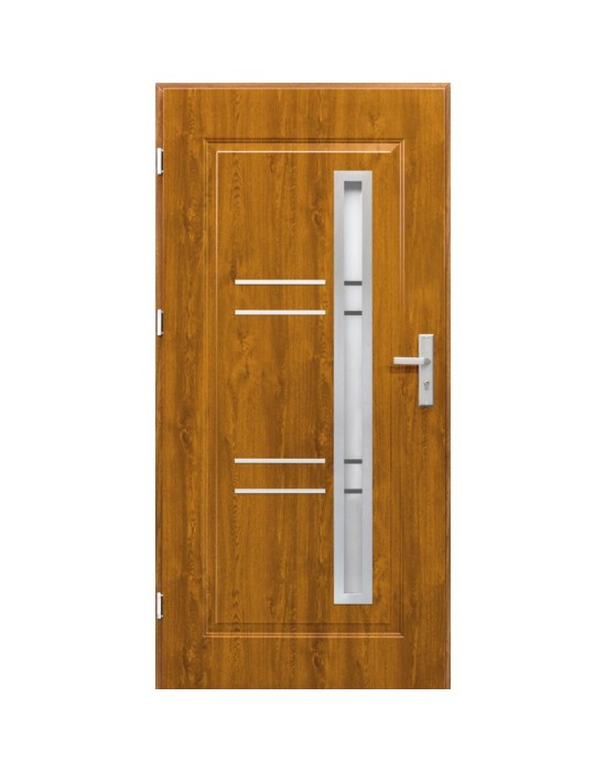 Lauko metalinės durys MODEL R4