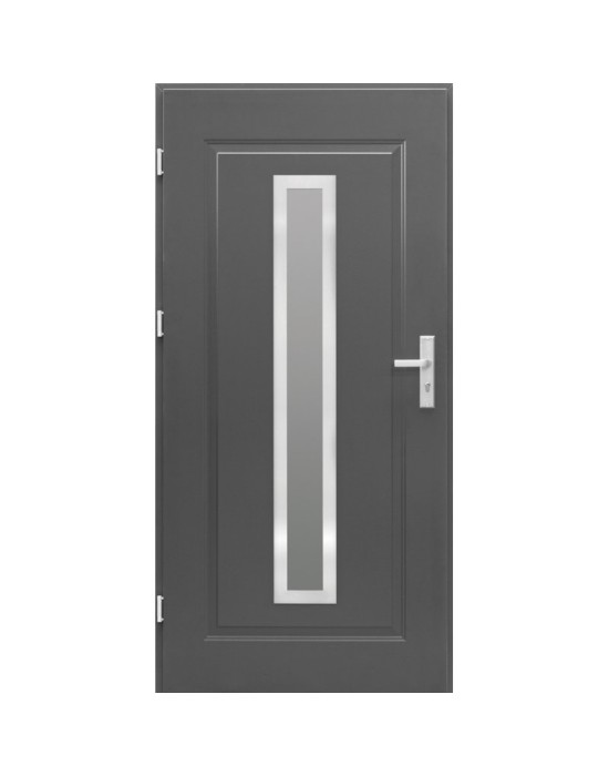 Lauko metalinės durys MODEL R6
